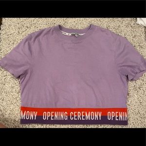Opening ceremony lavender crop top